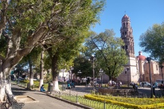 100-Morelia