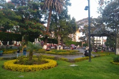 031-Uruapan