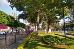 133-Uruapan