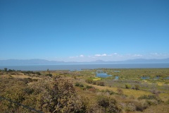 011-Chapala-Ajijic