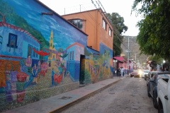 041-Chapala-Ajijic