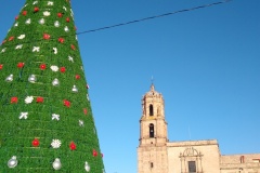 067-Morelia