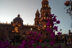 070-Morelia