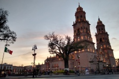 209-Morelia