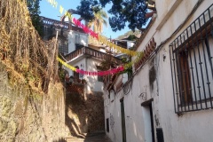 029-Taxco