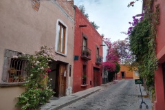 001-San-Miguel-se-Allende