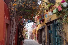 032-San-Miguel-se-Allende