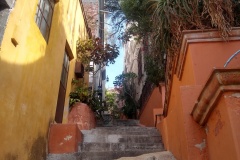 101-San-Miguel-se-Allende