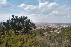 105-San-Miguel-se-Allende