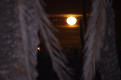A full moon on the first night camping made me want to read Twilight
